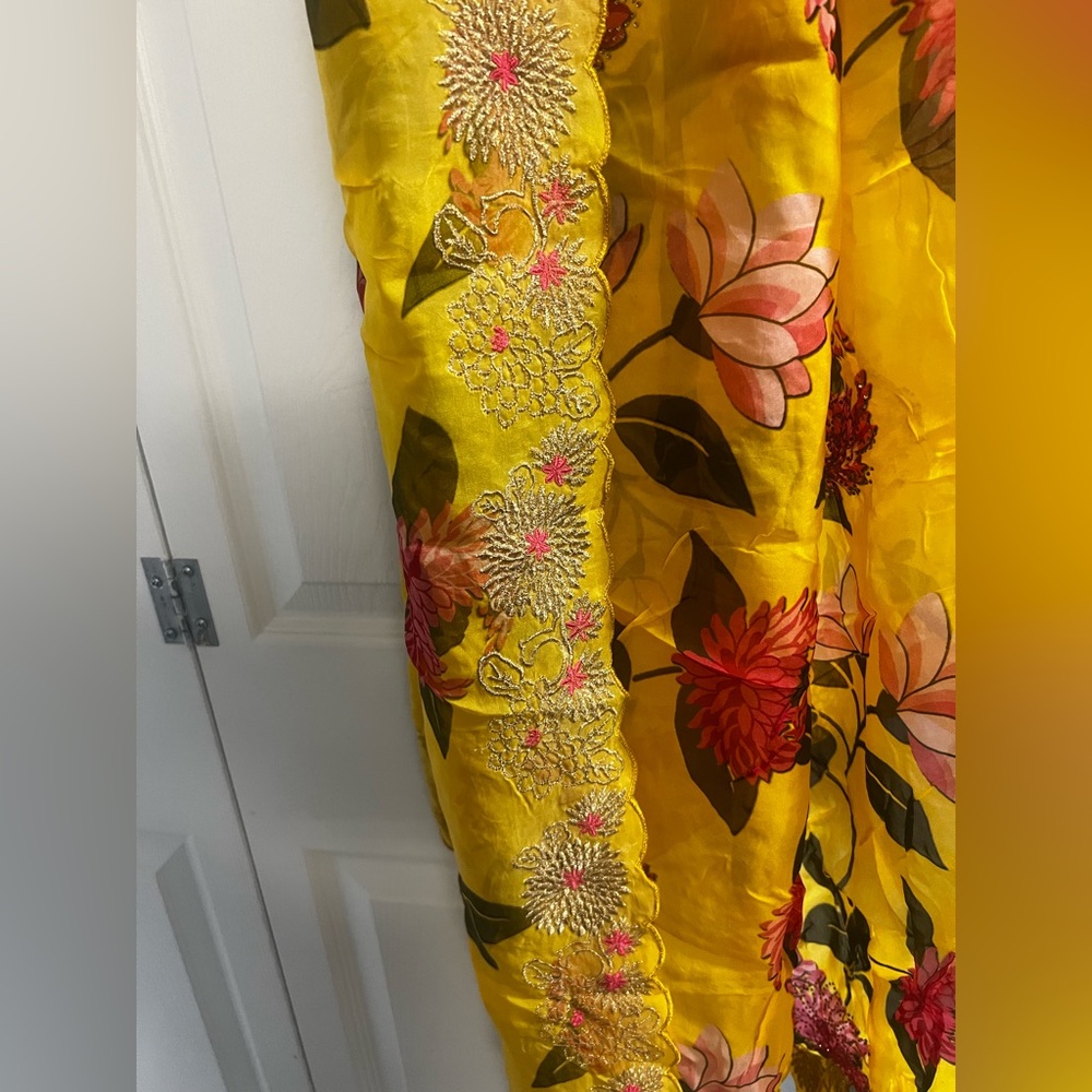 Beautiful Indian Pakistani embroidery dupatta